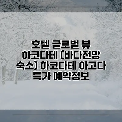 호텔 글로벌 뷰 하코다테 (바다전망 숙소) 하코다테 아고다 특가 예약정보