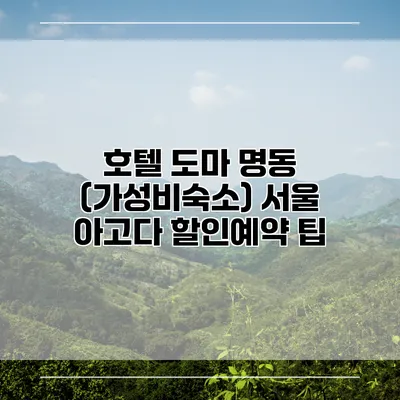 호텔 도마 명동 (가성비숙소) 서울 아고다 할인예약 팁