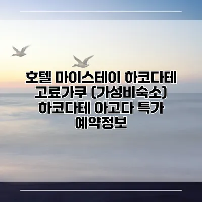 호텔 마이스테이 하코다테 고료가쿠 (가성비숙소) 하코다테 아고다 특가 예약정보