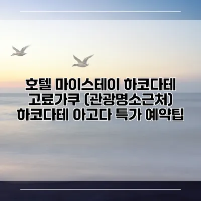 호텔 마이스테이 하코다테 고료가쿠 (관광명소근처) 하코다테 아고다 특가 예약팁