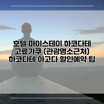 호텔 마이스테이 하코다테 고료가쿠 (관광명소근처) 하코다테 아고다 할인예약 팁