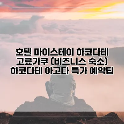 호텔 마이스테이 하코다테 고료가쿠 (비즈니스 숙소) 하코다테 아고다 특가 예약팁