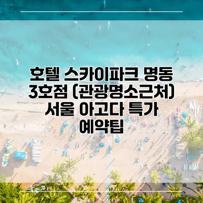 호텔 스카이파크 명동 3호점 (관광명소근처) 서울 아고다 특가 예약팁