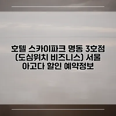 호텔 스카이파크 명동 3호점 (도심위치 비즈니스) 서울 아고다 할인 예약정보