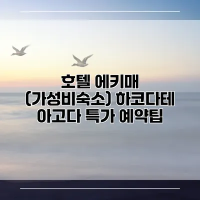 호텔 에키매 (가성비숙소) 하코다테 아고다 특가 예약팁