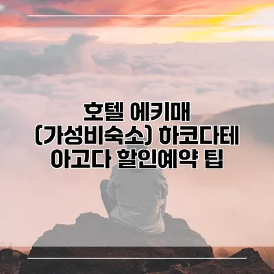 호텔 에키매 (가성비숙소) 하코다테 아고다 할인예약 팁