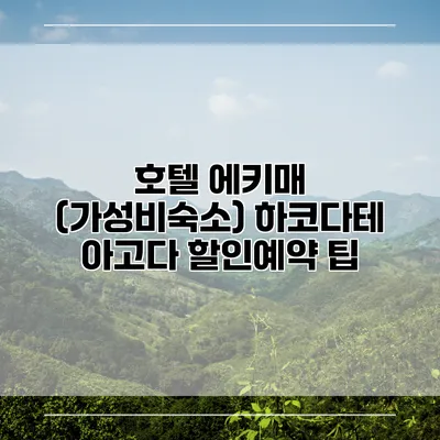 호텔 에키매 (가성비숙소) 하코다테 아고다 할인예약 팁