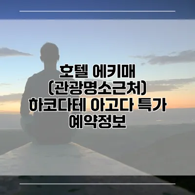호텔 에키매 (관광명소근처) 하코다테 아고다 특가 예약정보
