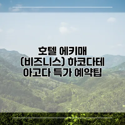 호텔 에키매 (비즈니스) 하코다테 아고다 특가 예약팁