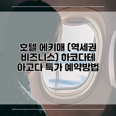 호텔 에키매 (역세권 비즈니스) 하코다테 아고다 특가 예약방법