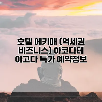 호텔 에키매 (역세권 비즈니스) 하코다테 아고다 특가 예약정보