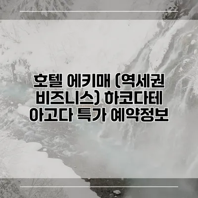 호텔 에키매 (역세권 비즈니스) 하코다테 아고다 특가 예약정보