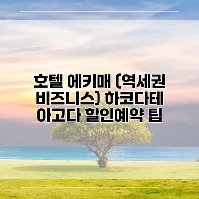 호텔 에키매 (역세권 비즈니스) 하코다테 아고다 할인예약 팁