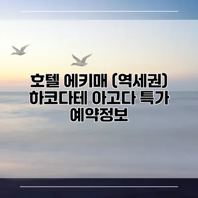 호텔 에키매 (역세권) 하코다테 아고다 특가 예약정보