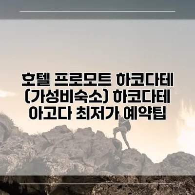 호텔 프로모트 하코다테 (가성비숙소) 하코다테 아고다 최저가 예약팁
