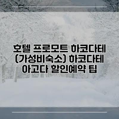 호텔 프로모트 하코다테 (가성비숙소) 하코다테 아고다 할인예약 팁