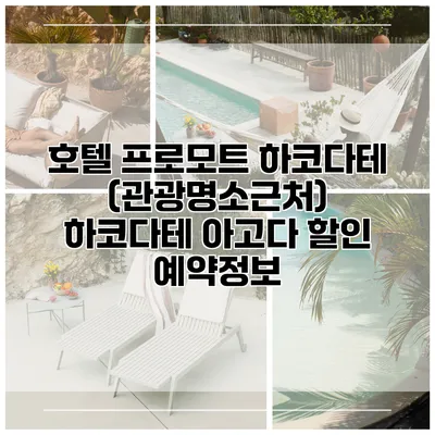 호텔 프로모트 하코다테 (관광명소근처) 하코다테 아고다 할인 예약정보