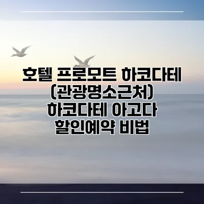 호텔 프로모트 하코다테 (관광명소근처) 하코다테 아고다 할인예약 비법