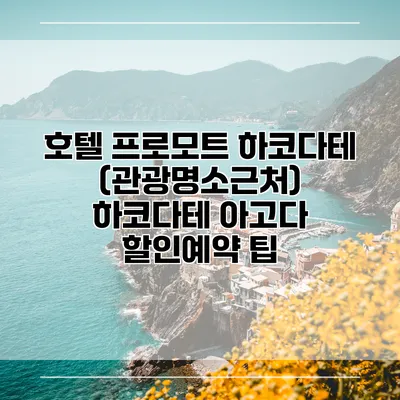 호텔 프로모트 하코다테 (관광명소근처) 하코다테 아고다 할인예약 팁