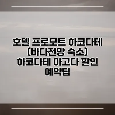 호텔 프로모트 하코다테 (바다전망 숙소) 하코다테 아고다 할인 예약팁