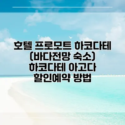 호텔 프로모트 하코다테 (바다전망 숙소) 하코다테 아고다 할인예약 방법