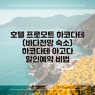 호텔 프로모트 하코다테 (바다전망 숙소) 하코다테 아고다 할인예약 비법