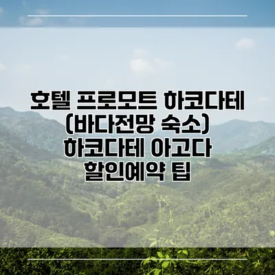 호텔 프로모트 하코다테 (바다전망 숙소) 하코다테 아고다 할인예약 팁
