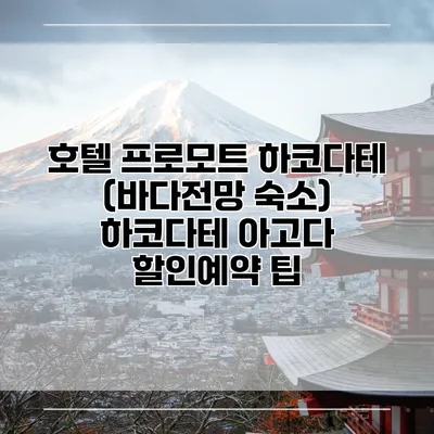 호텔 프로모트 하코다테 (바다전망 숙소) 하코다테 아고다 할인예약 팁