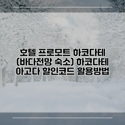 호텔 프로모트 하코다테 (바다전망 숙소) 하코다테 아고다 할인코드 활용방법