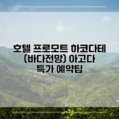 호텔 프로모트 하코다테 (바다전망) 아고다 특가 예약팁