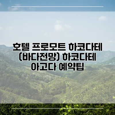 호텔 프로모트 하코다테 (바다전망) 하코다테 아고다 예약팁