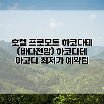 호텔 프로모트 하코다테 (바다전망) 하코다테 아고다 최저가 예약팁
