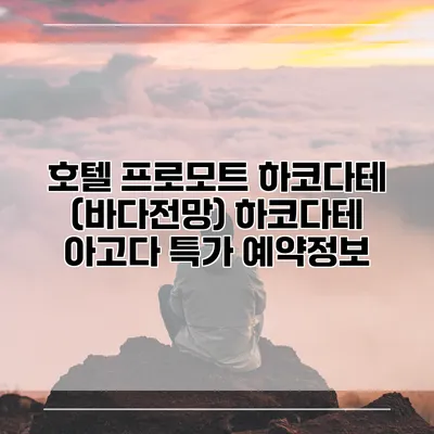 호텔 프로모트 하코다테 (바다전망) 하코다테 아고다 특가 예약정보