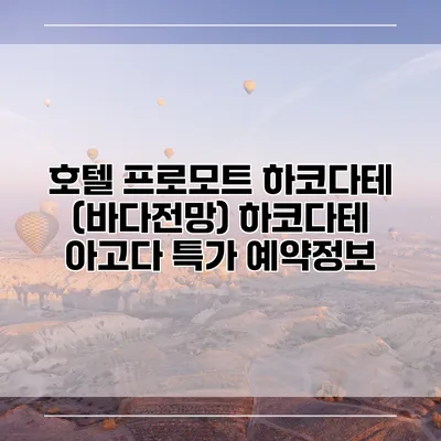 호텔 프로모트 하코다테 (바다전망) 하코다테 아고다 특가 예약정보