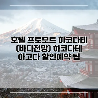 호텔 프로모트 하코다테 (바다전망) 하코다테 아고다 할인예약 팁