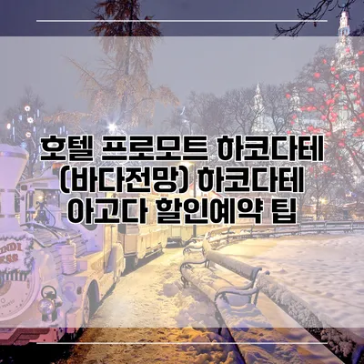 호텔 프로모트 하코다테 (바다전망) 하코다테 아고다 할인예약 팁