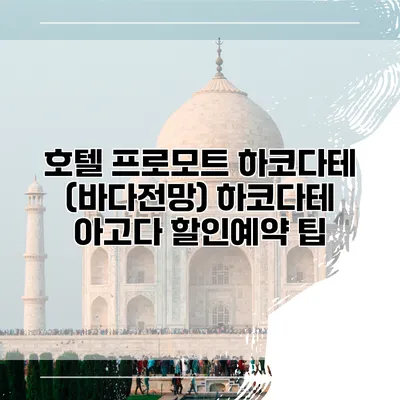 호텔 프로모트 하코다테 (바다전망) 하코다테 아고다 할인예약 팁