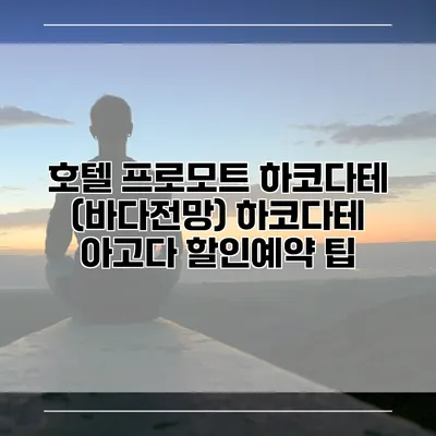 호텔 프로모트 하코다테 (바다전망) 하코다테 아고다 할인예약 팁