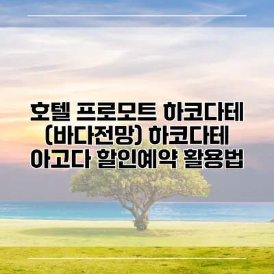 호텔 프로모트 하코다테 (바다전망) 하코다테 아고다 할인예약 활용법