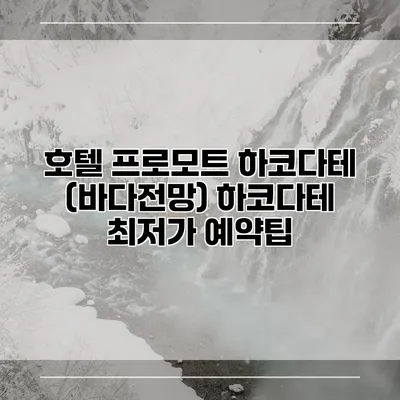 호텔 프로모트 하코다테 (바다전망) 하코다테 최저가 예약팁
