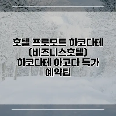 호텔 프로모트 하코다테 (비즈니스호텔) 하코다테 아고다 특가 예약팁